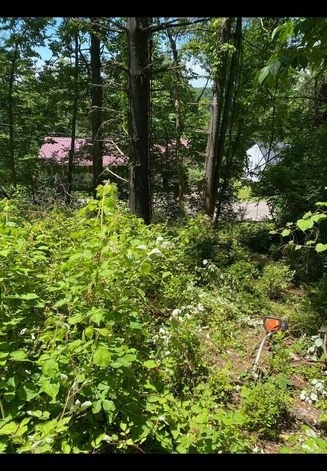 Peach Ridge Rd Property Photo 7