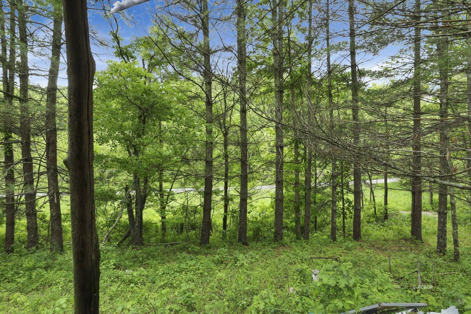 11250 Grass Run Rd Property Photo 3
