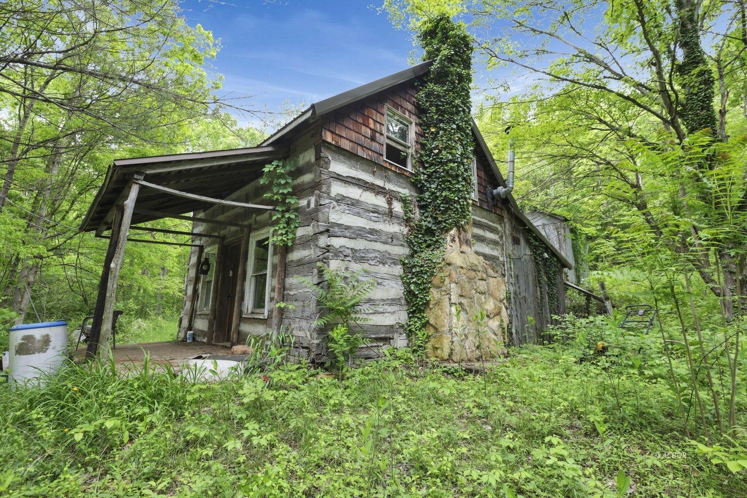 11250 Grass Run Rd Property Photo 4