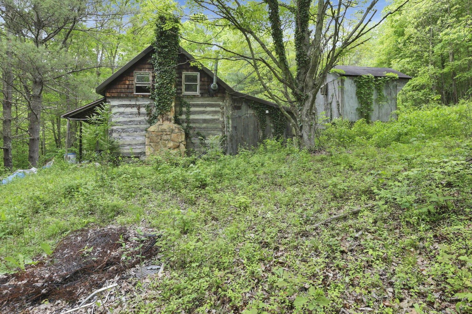11250 Grass Run Rd Property Photo 5