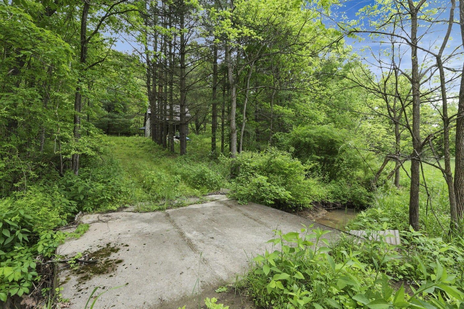 11250 Grass Run Rd Property Photo 9