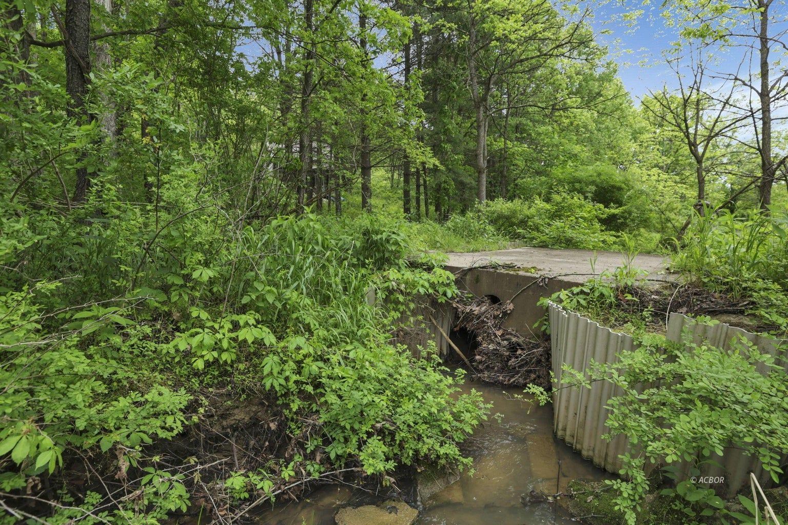 11250 Grass Run Rd Property Photo 10