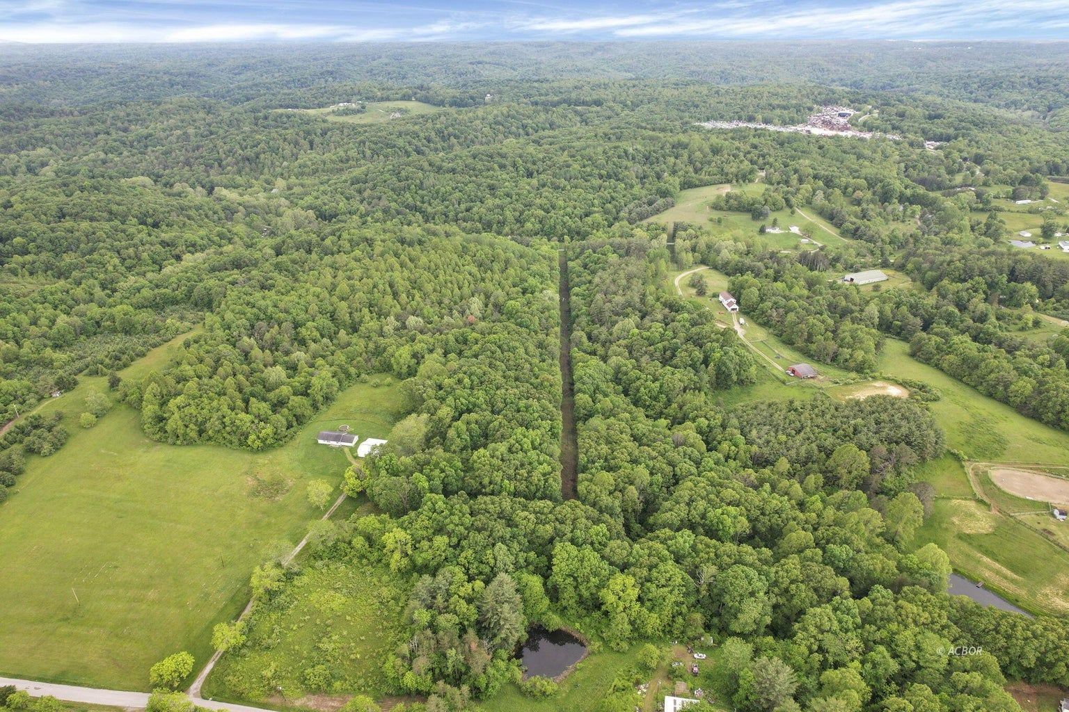 11250 Grass Run Rd Property Photo 15