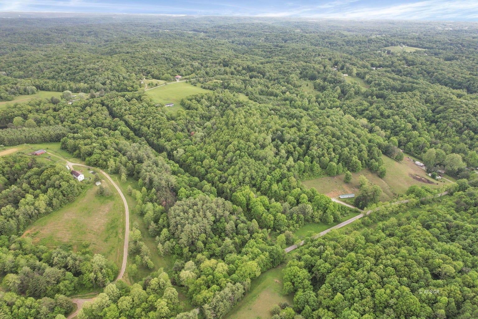 11250 Grass Run Rd Property Photo 16