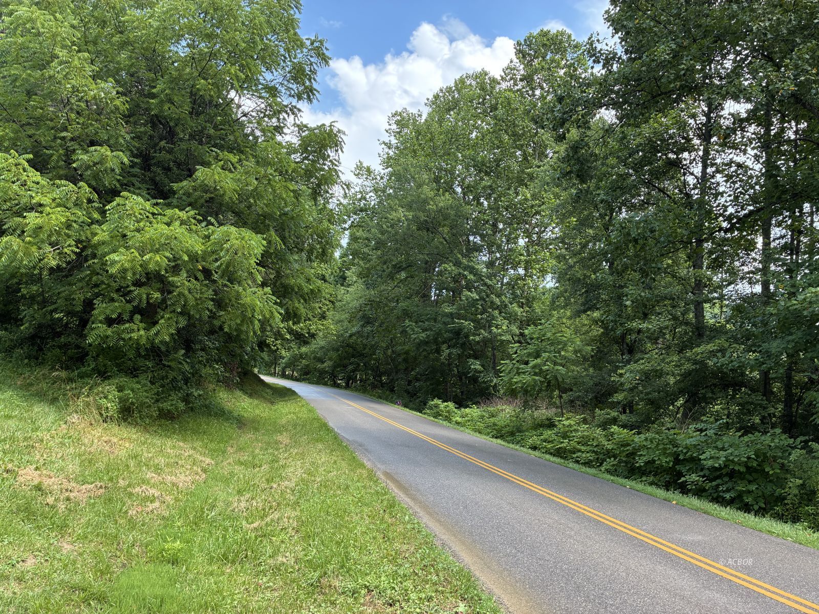 1420 Story Run Rd Property Photo 18