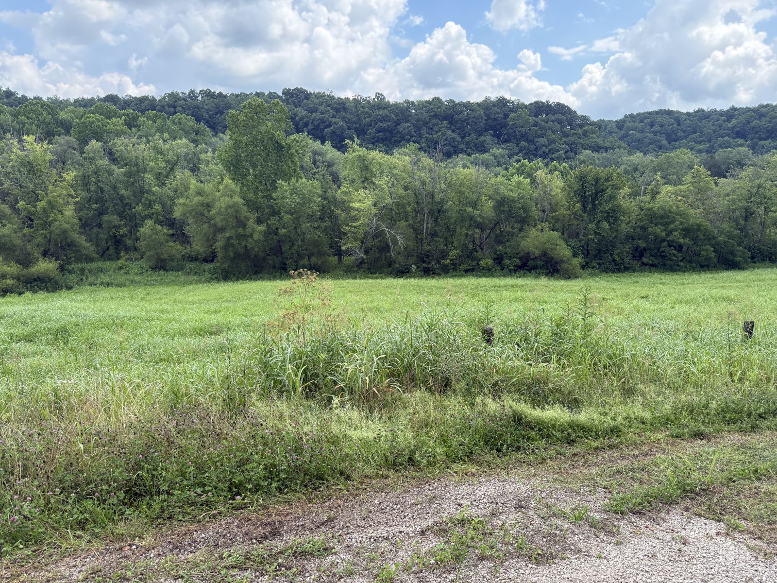 Four Mile Creek Property Photo 1