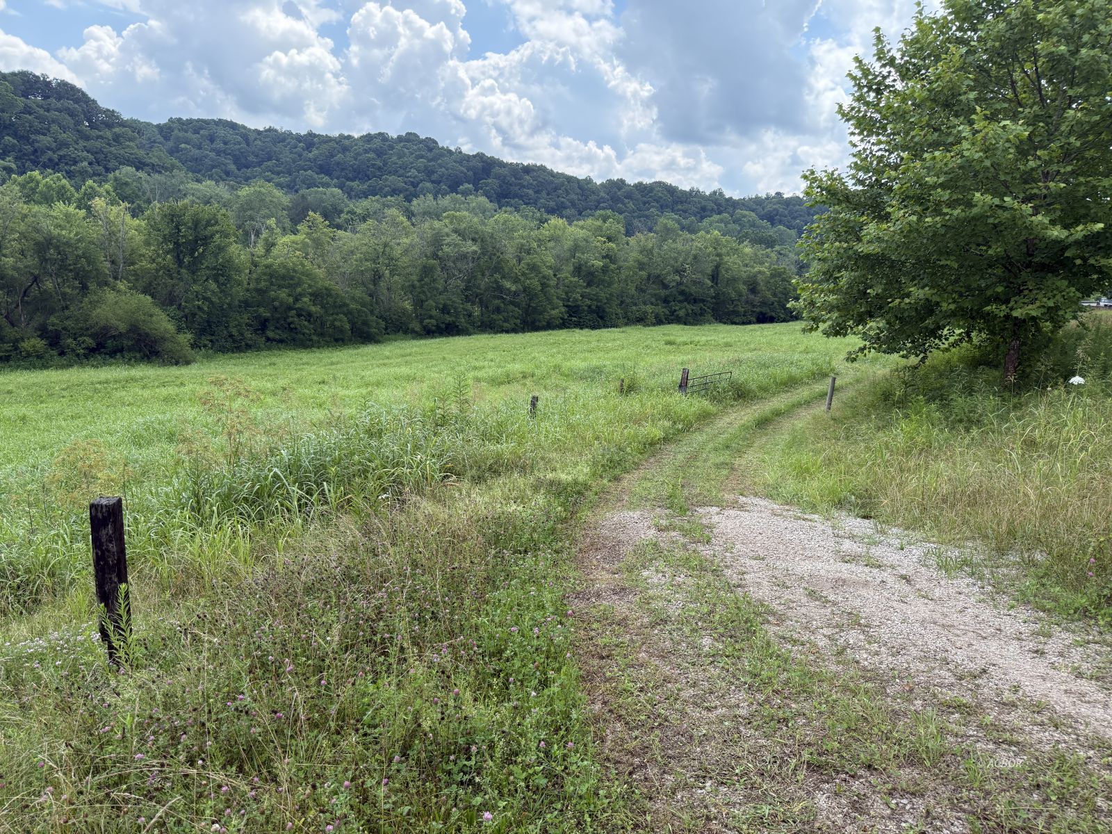 Four Mile Creek Property Photo 1