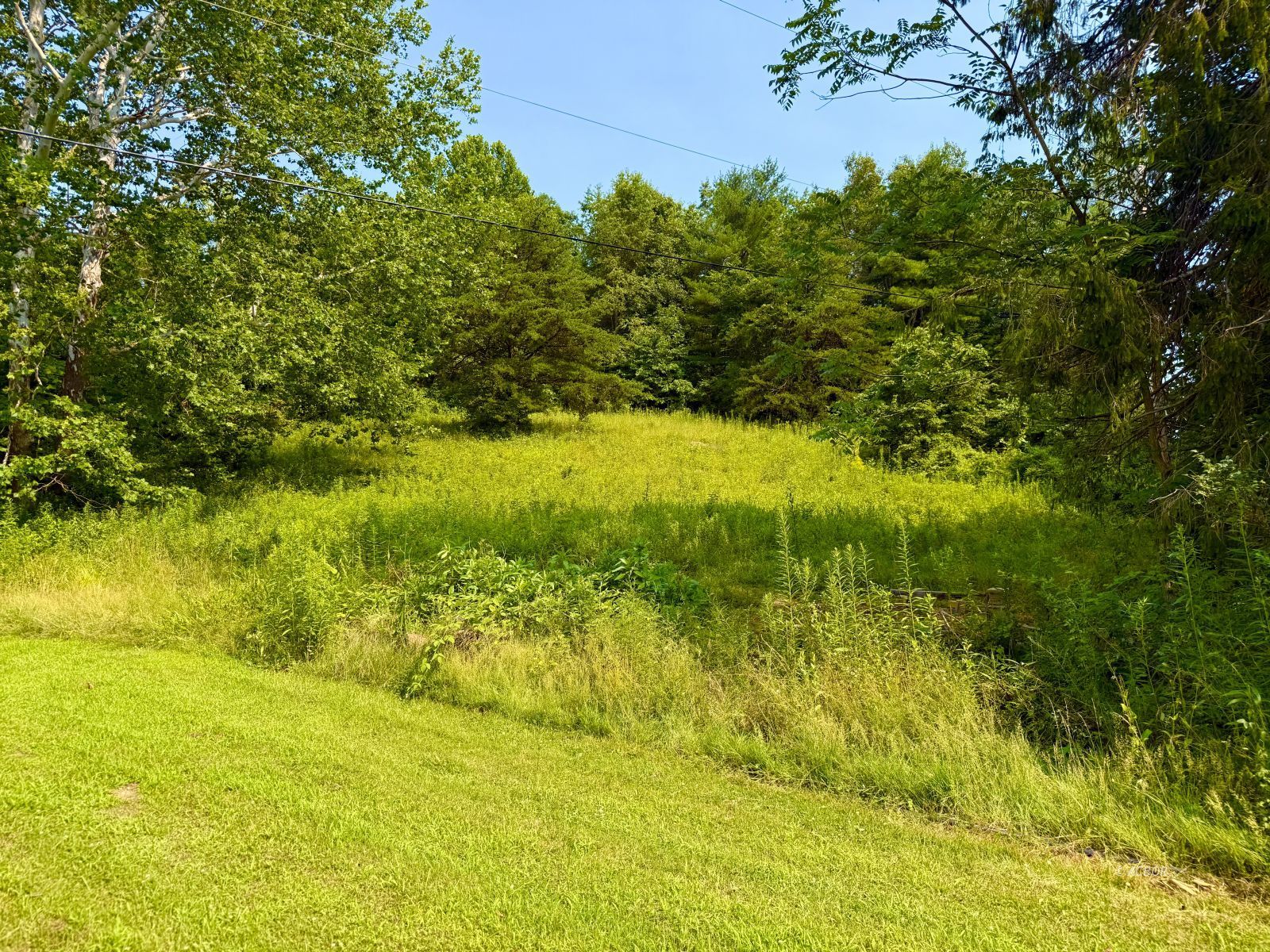 16480 State Route 328 Property Photo 6