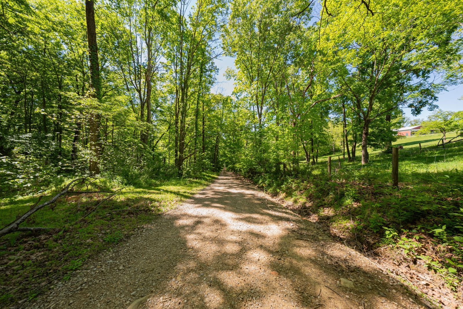 10375 Frasure Helber Rd Property Photo 3
