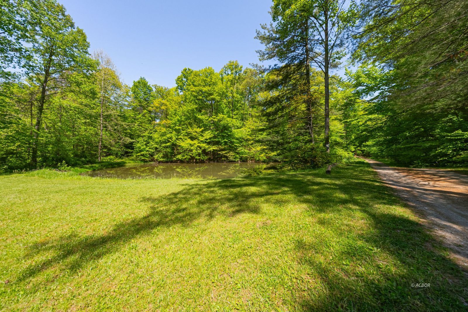 10375 Frasure Helber Rd Property Photo 64