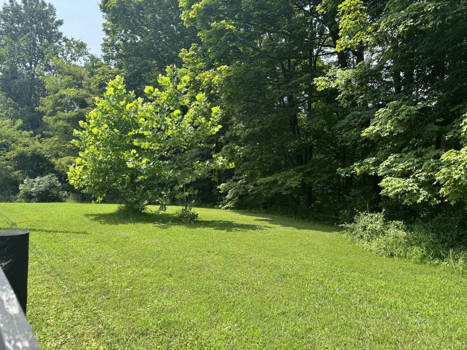 Ridgeview Dr Property Photo 6