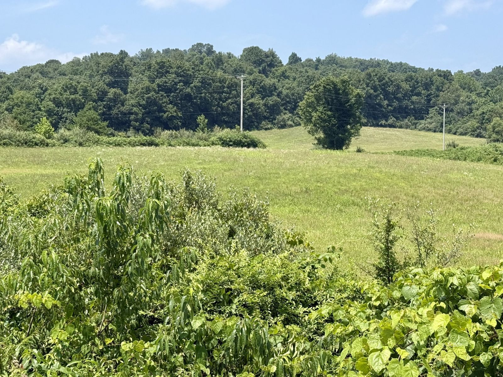 State Route 7 Property Photo 2