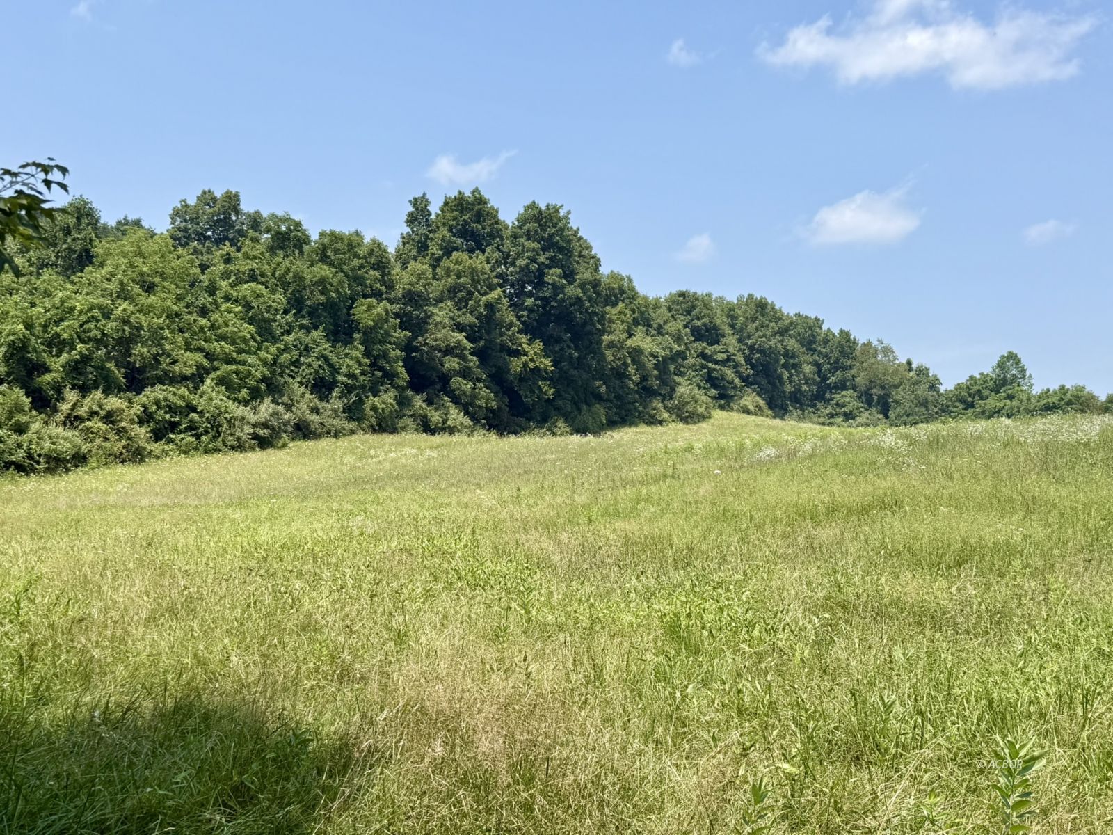 State Route 7 Property Photo 5