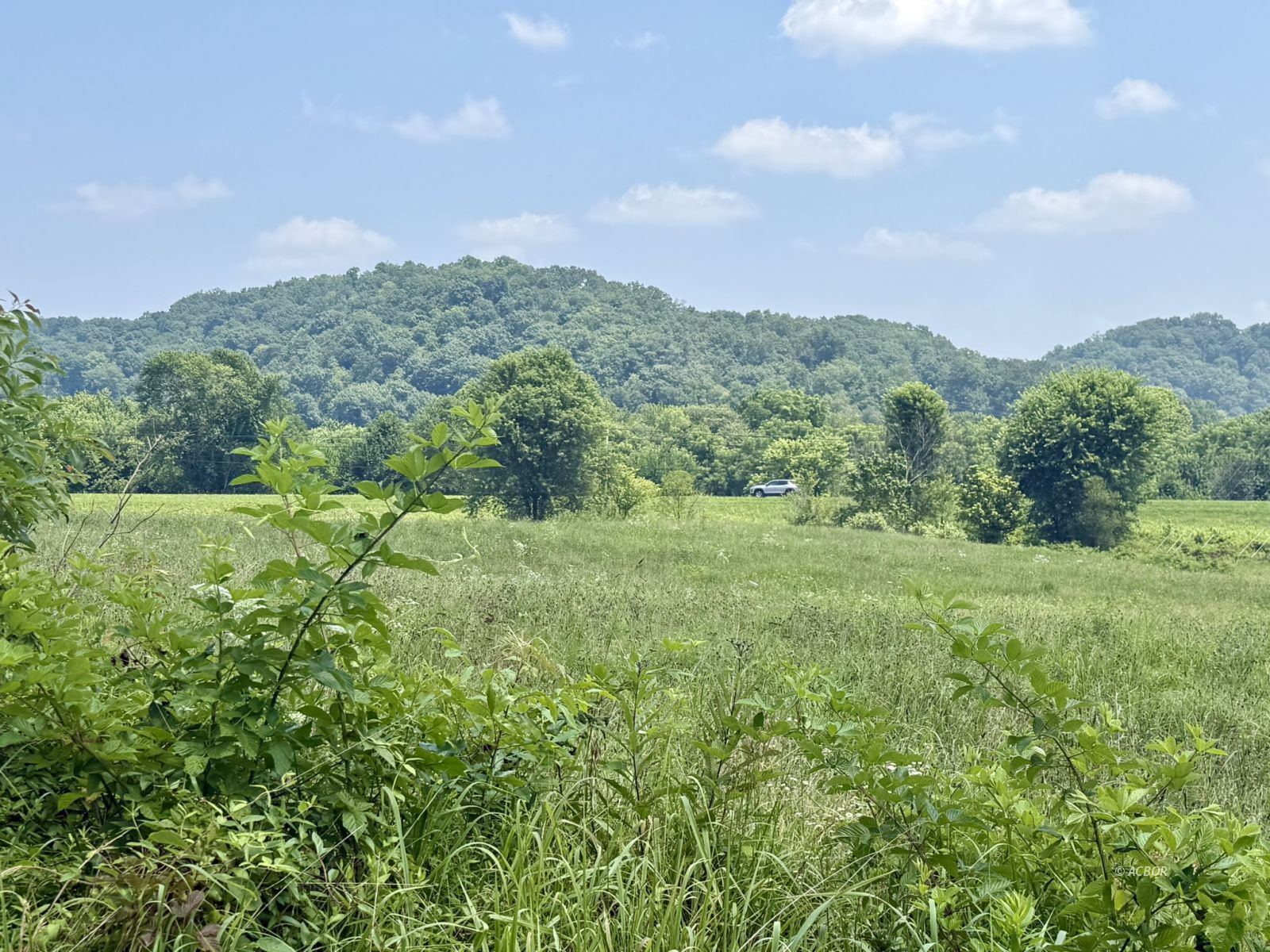 State Route 7 Property Photo 6