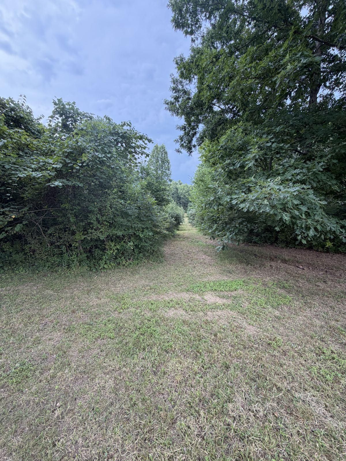 Jonathan Ln Property Photo 2