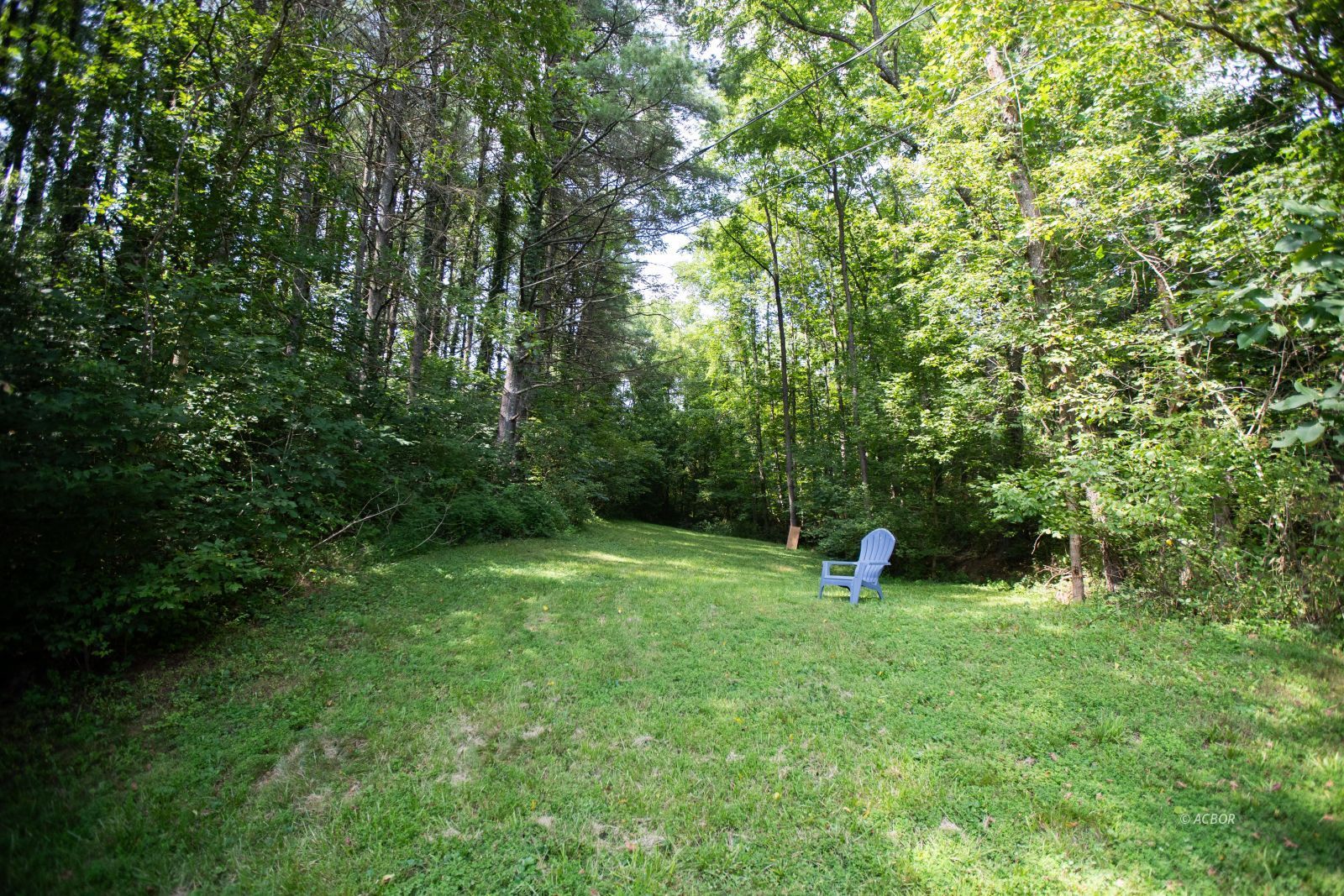 9676 Hooper Rd Property Photo 27