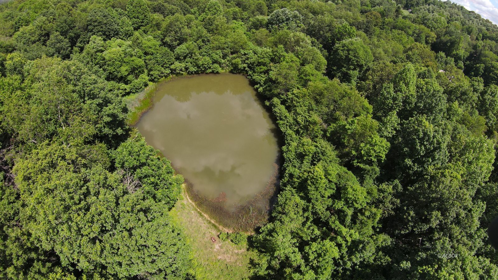 Murphy Rd Property Photo 6