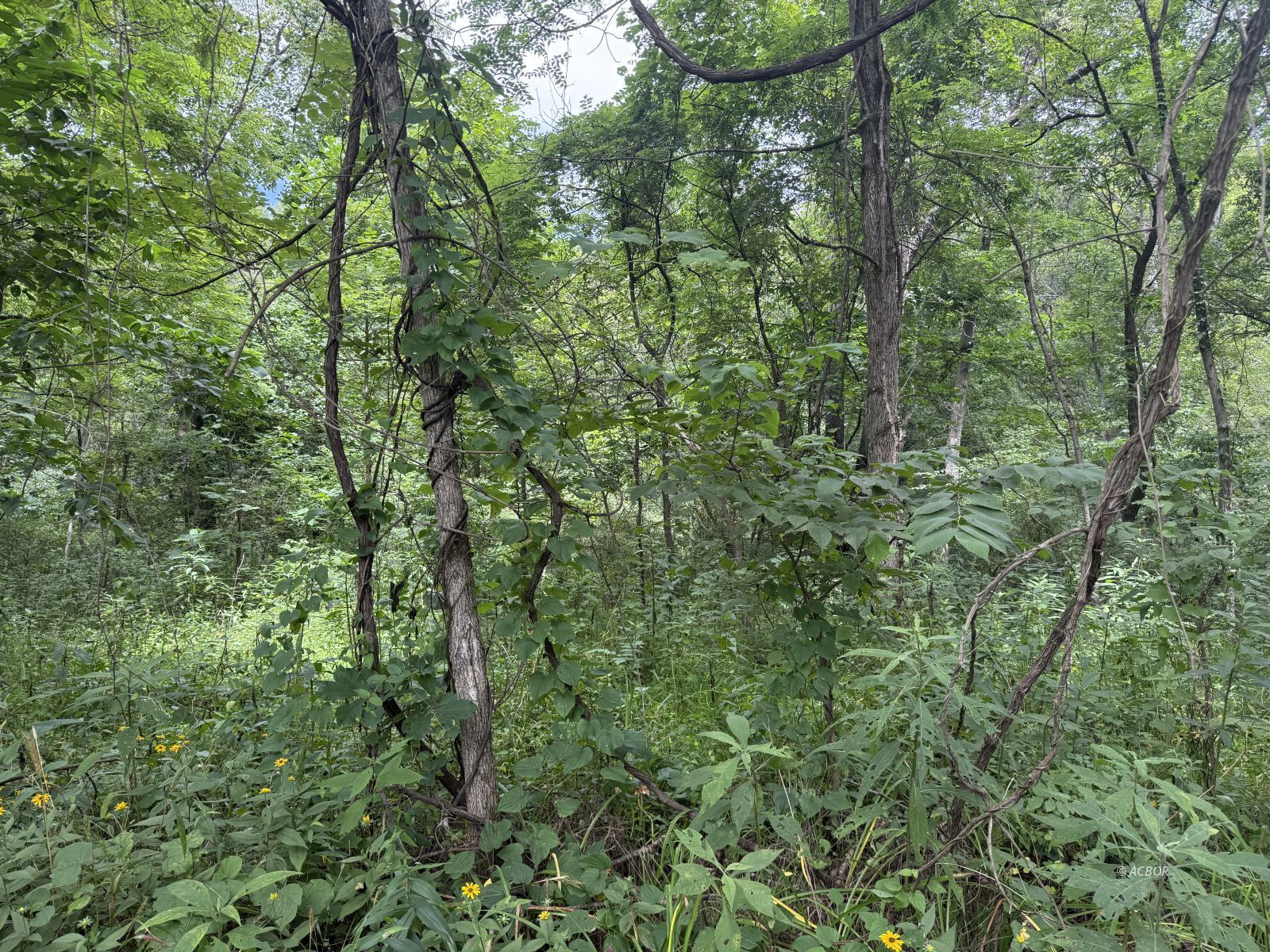 Murphy Rd Property Photo 11