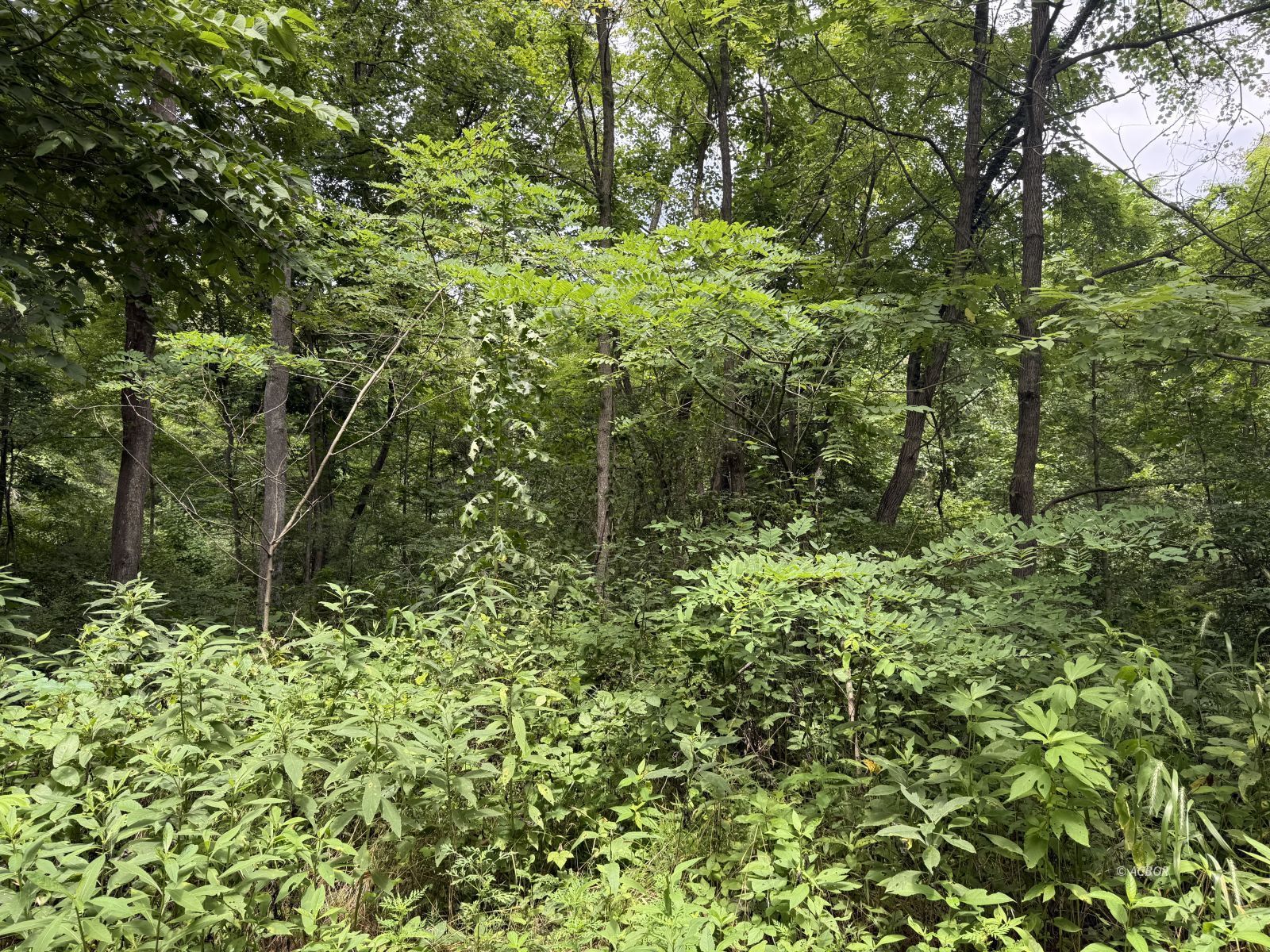 Murphy Rd Property Photo 12