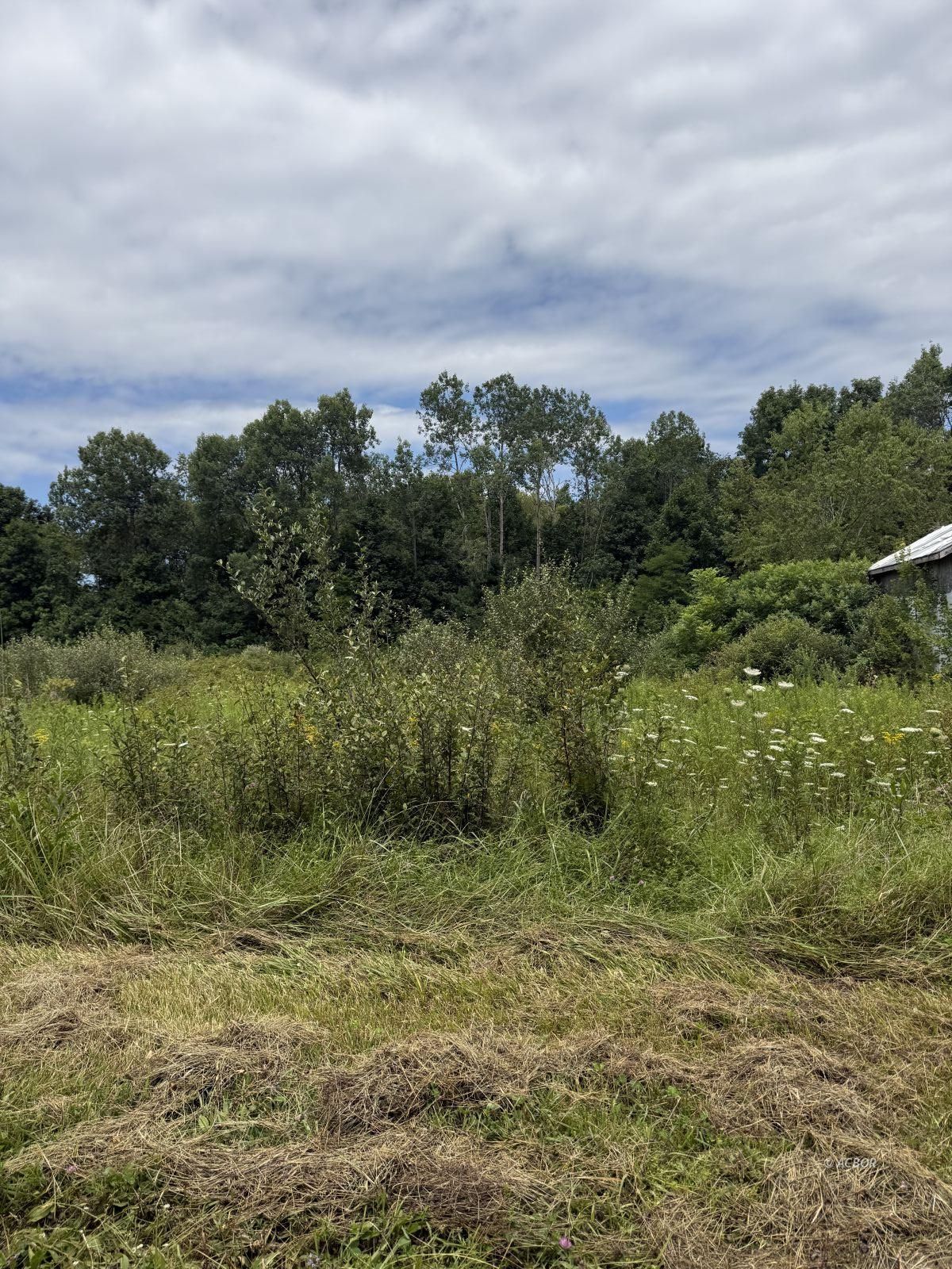 Murphy Rd Property Photo 13