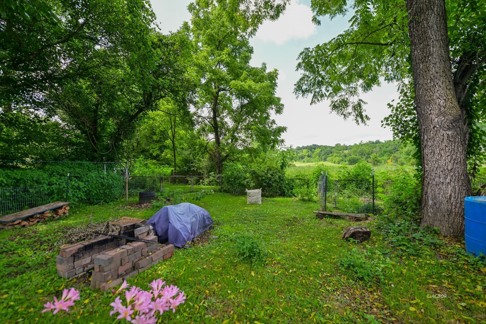 15907 Millfield Rd Property Photo 18