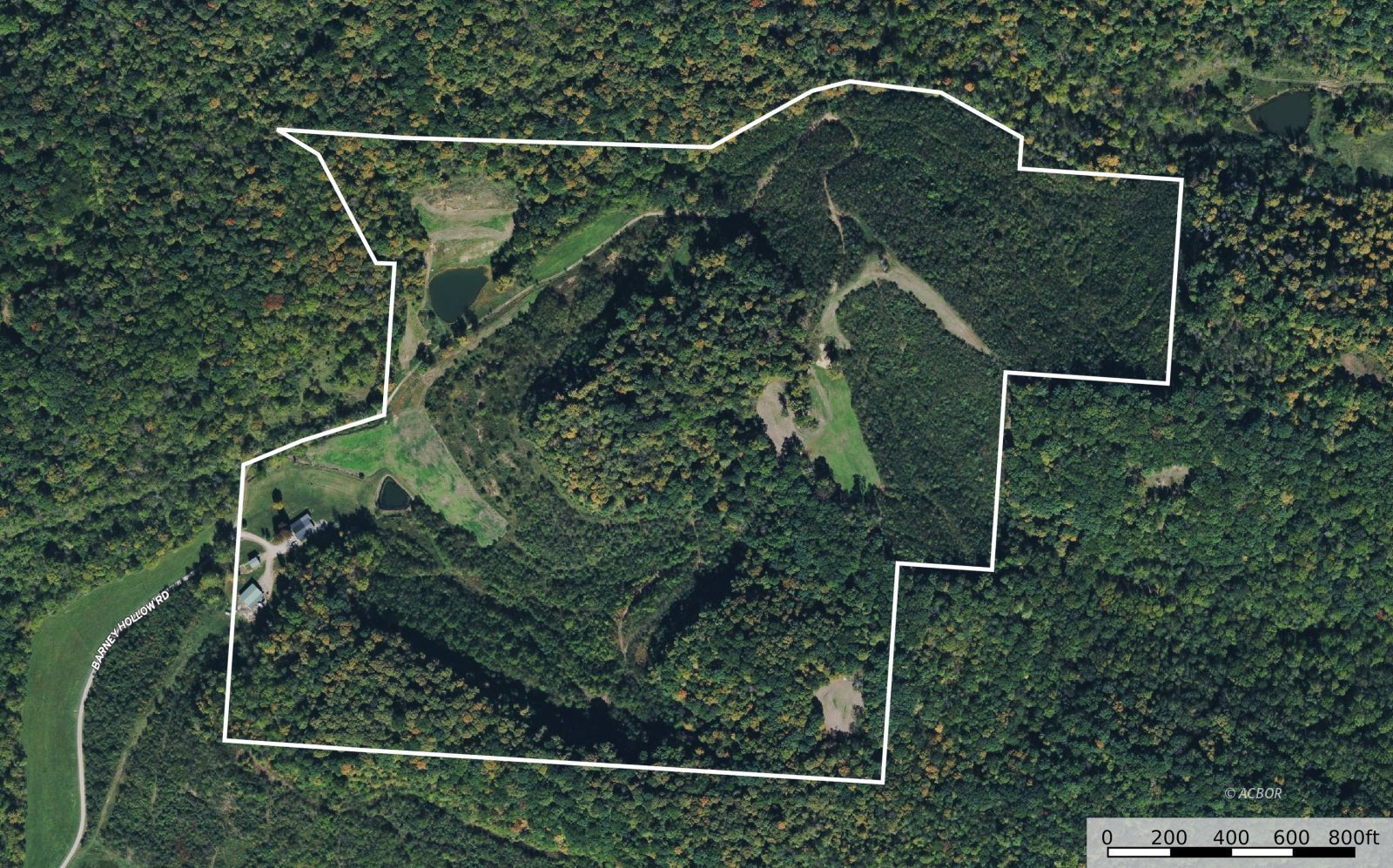 34130 Burney Hollow Rd Property Photo 7