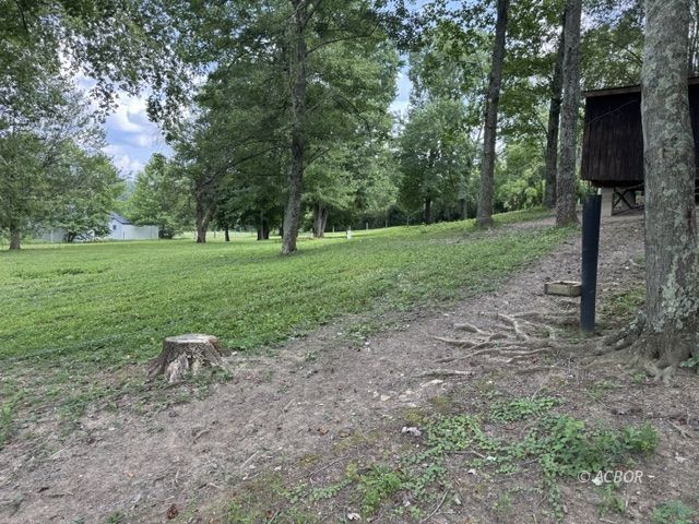 64857 Roller Coaster Rd Property Photo 13