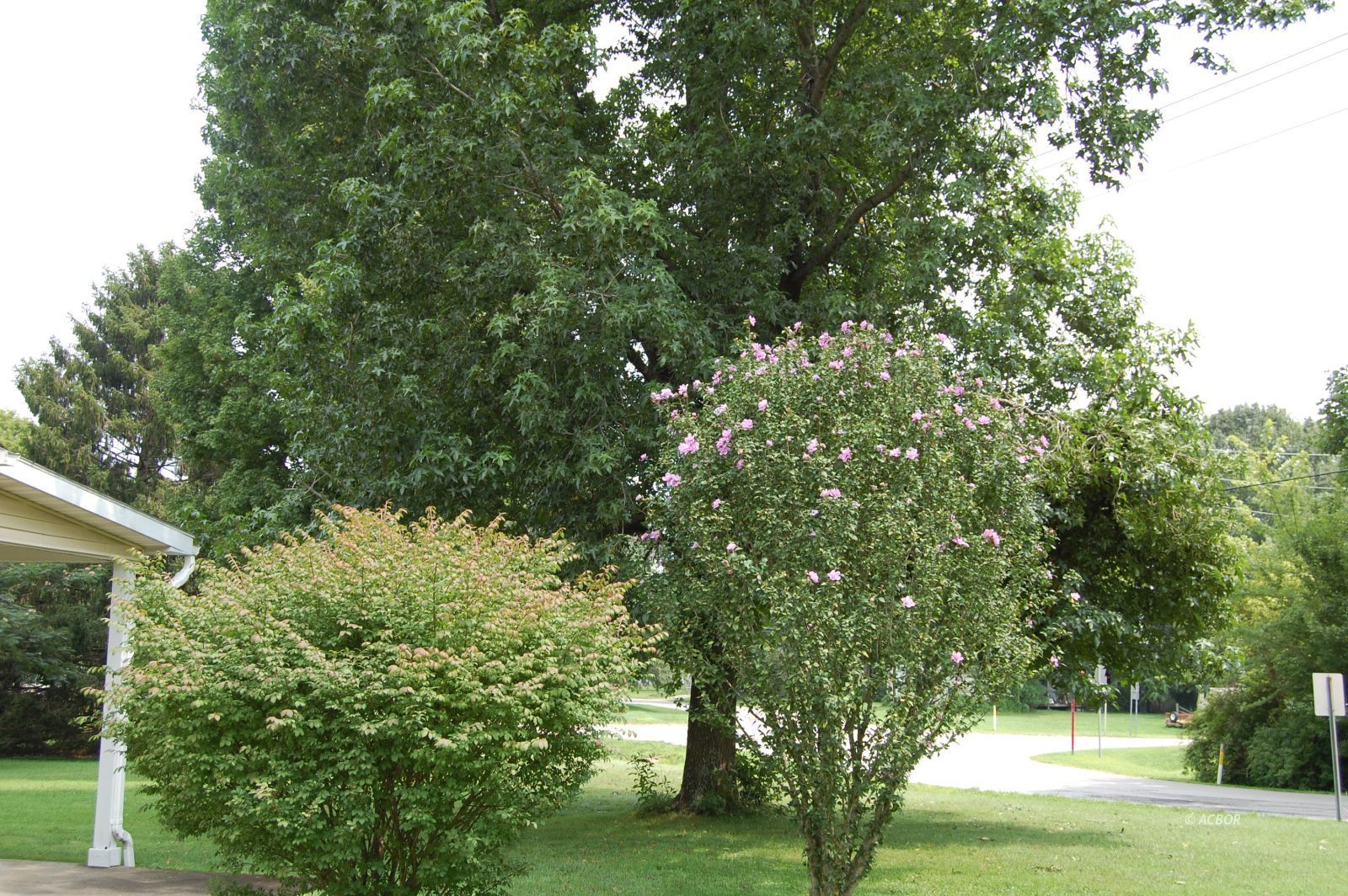 5501 State Street Property Photo 11