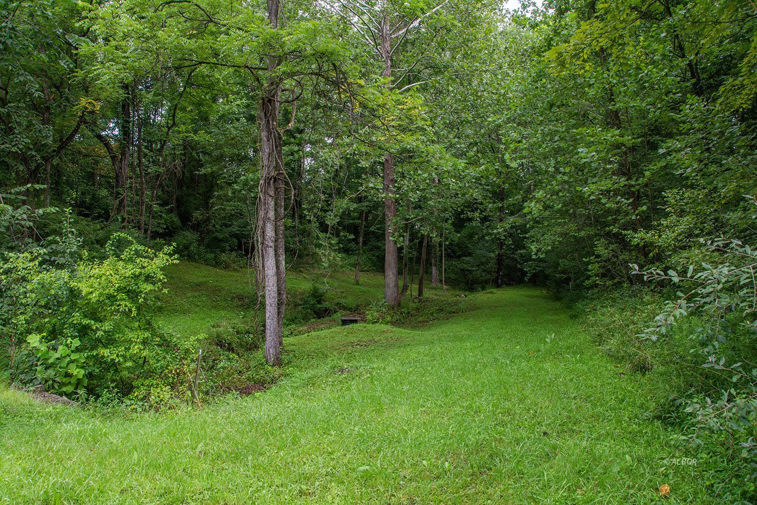 14 Dove Dr