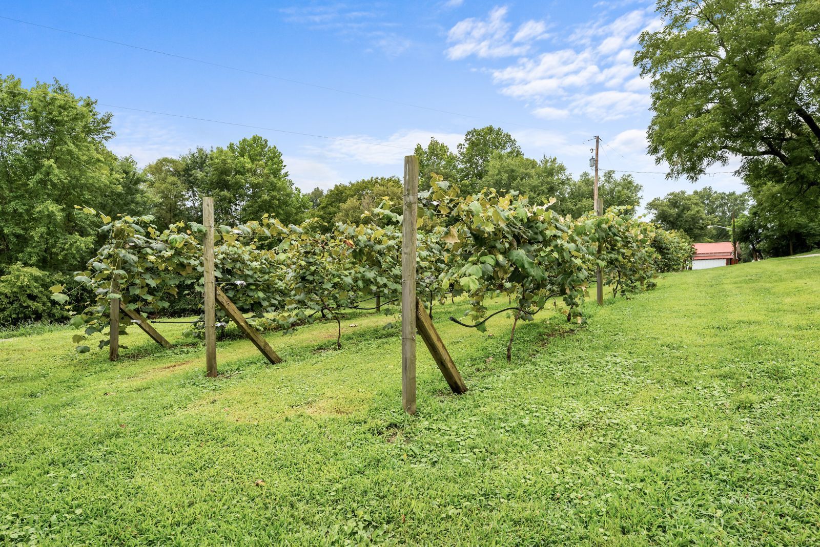 7696 Bull Run Road Property Photo 23