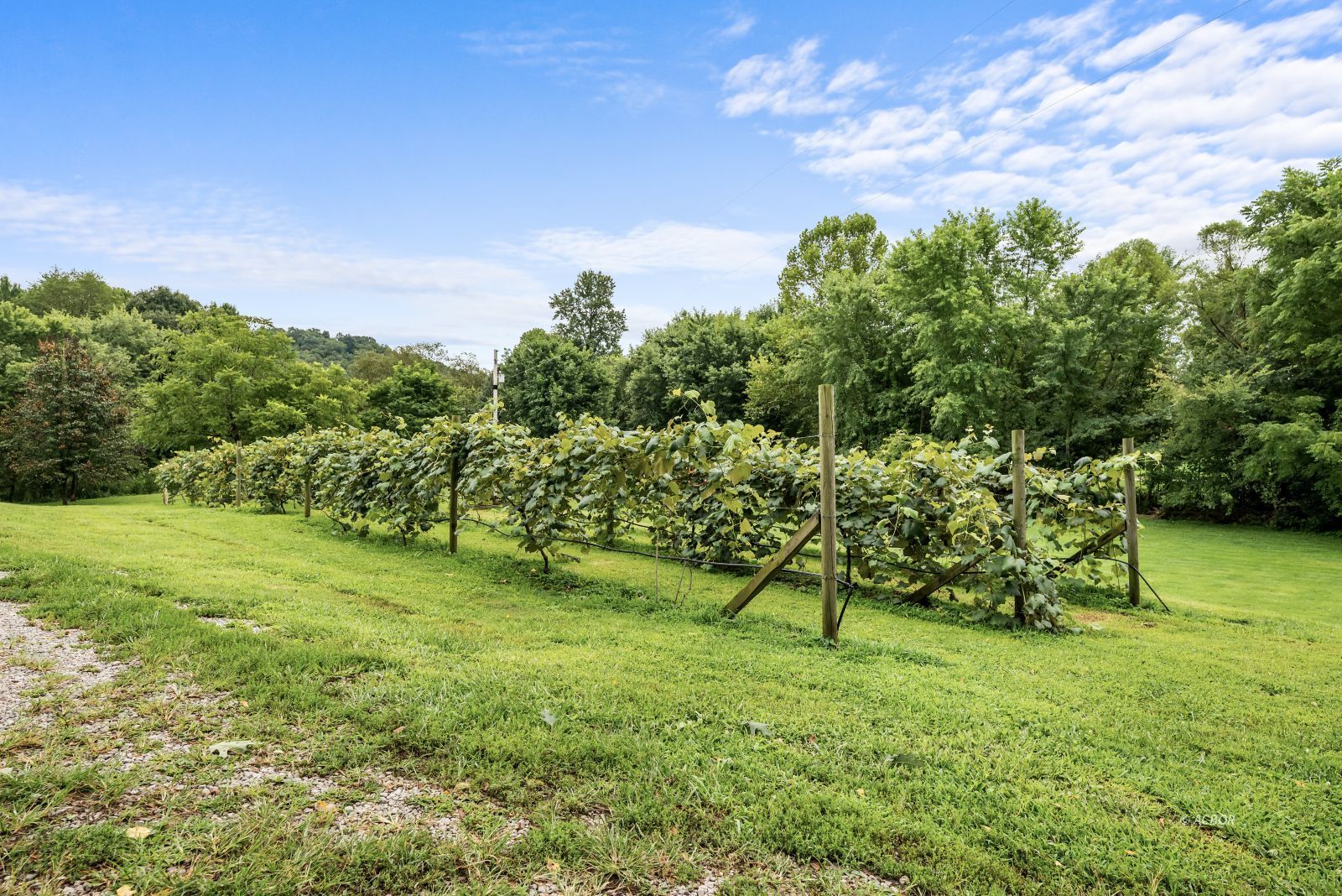 7696 Bull Run Road Property Photo 25