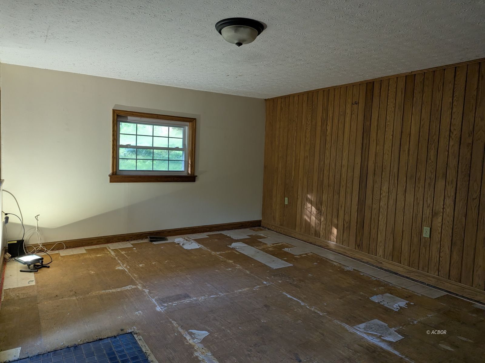 15717 Willow Creek Rd Property Photo 6