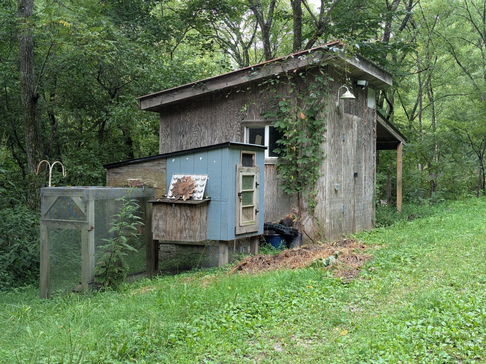 15717 Willow Creek Rd Property Photo 19