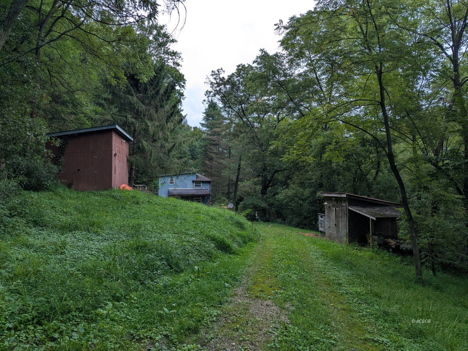 15717 Willow Creek Rd Property Photo 20
