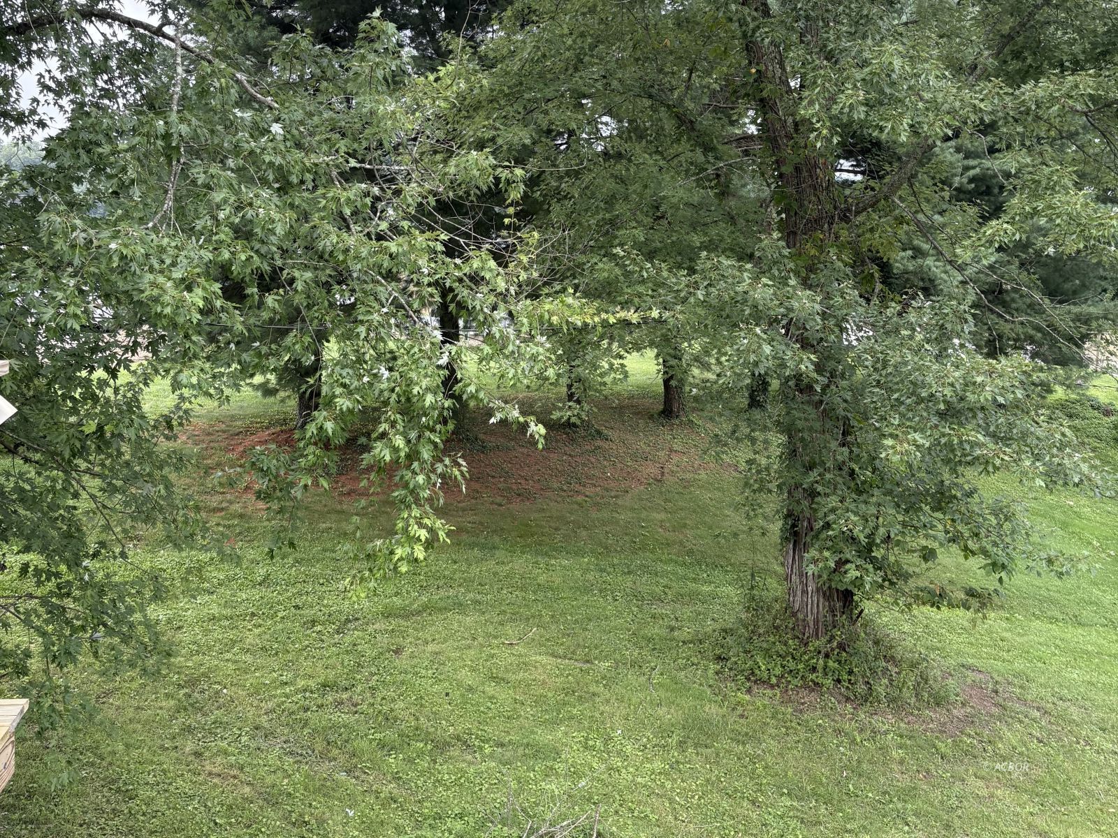 43510 Lavender Rd Property Photo 5