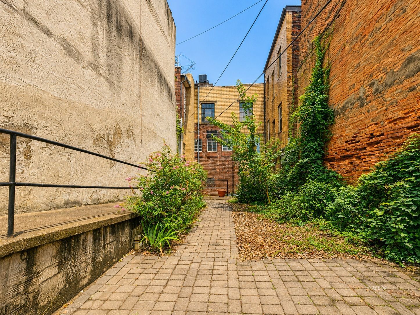 111 Court Property Photo 28