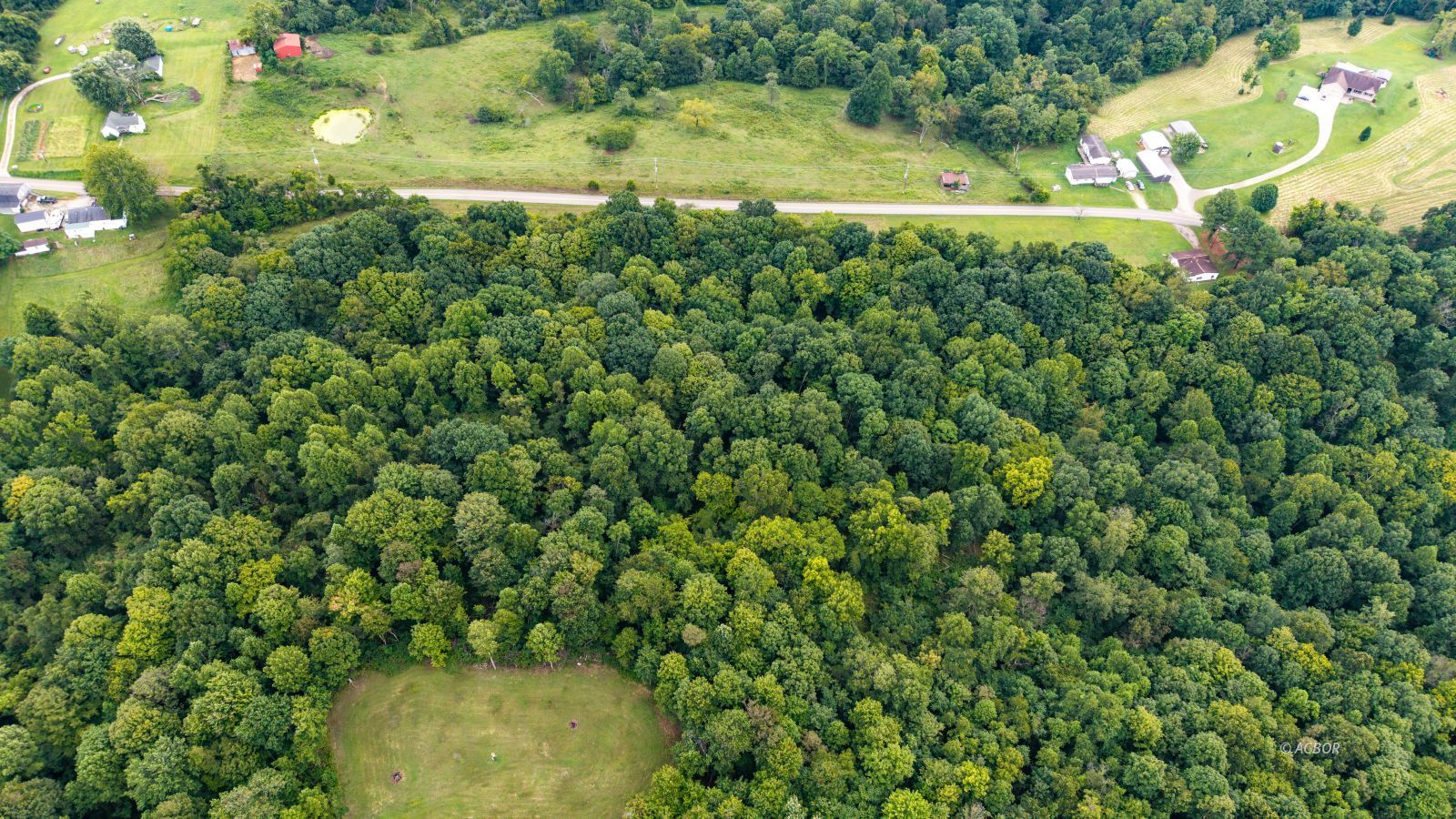 315 Johnson Ridge Rd. Property Photo 28