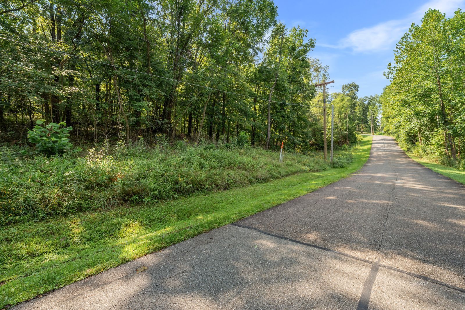 Oak Ridge Dr Property Photo 6