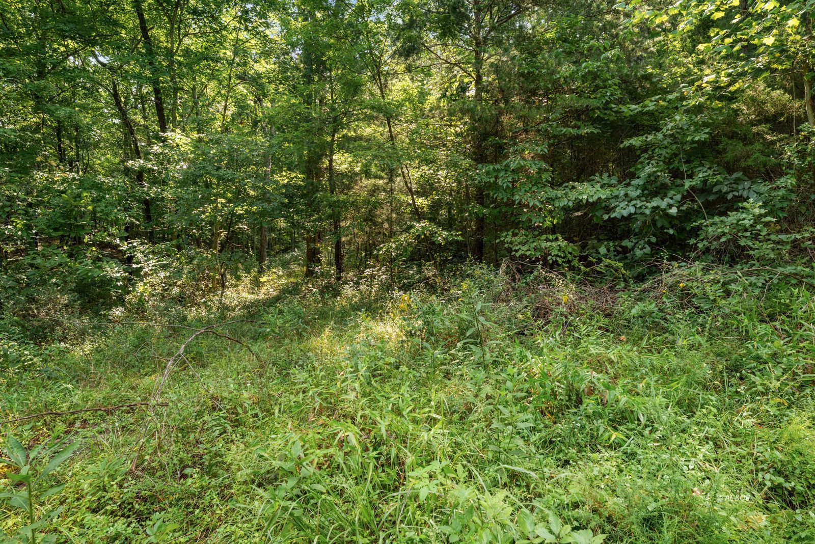 Oak Ridge Dr Property Photo 7