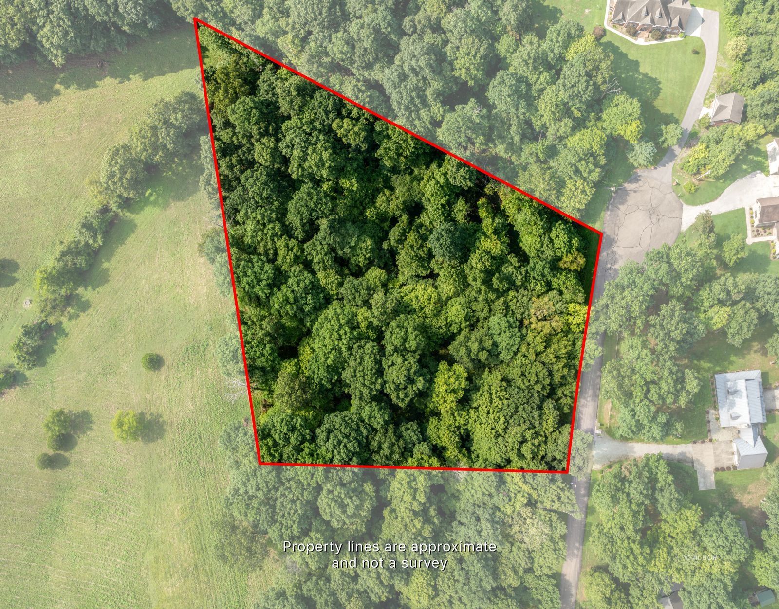 Oak Ridge Dr Property Photo 2