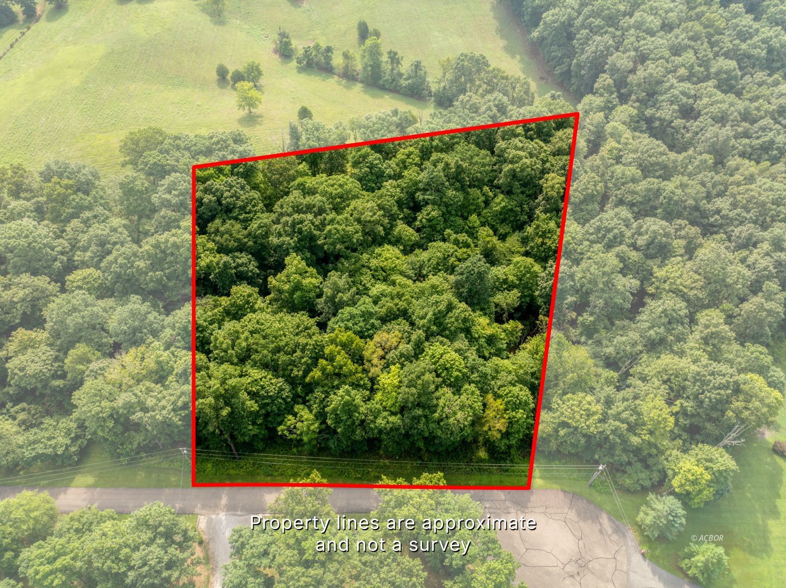 Oak Ridge Dr Property Photo 4