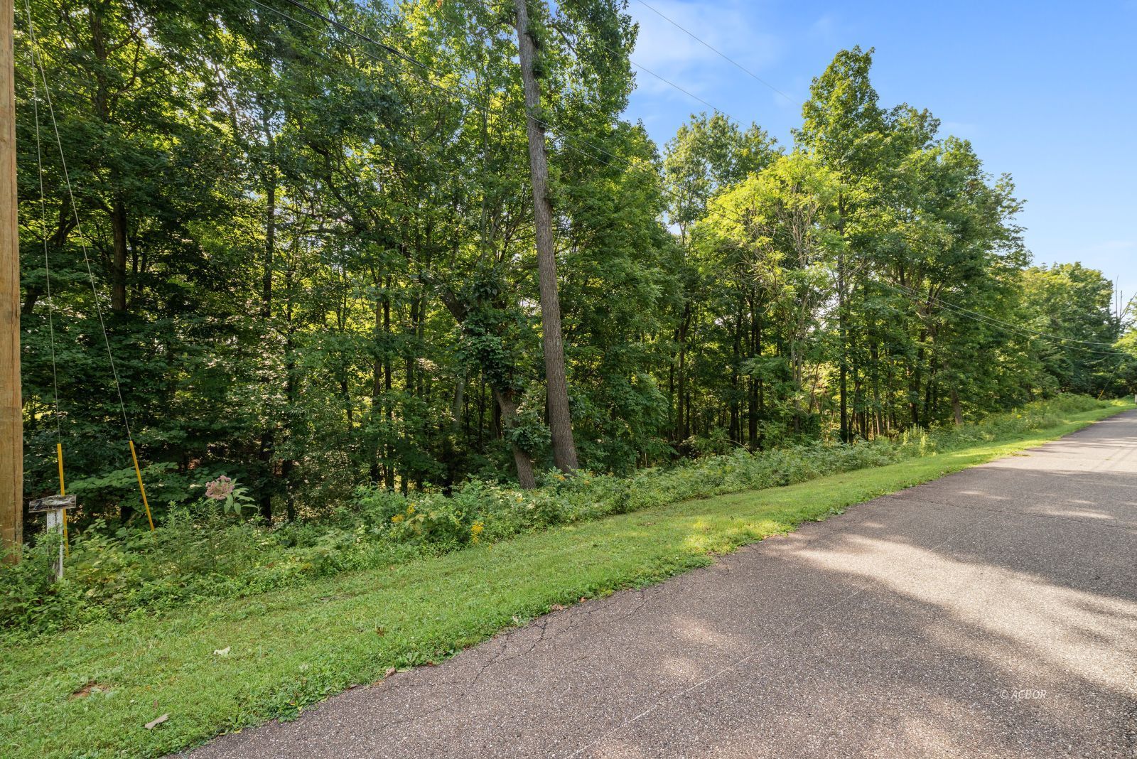 Oak Ridge Dr Property Photo 9