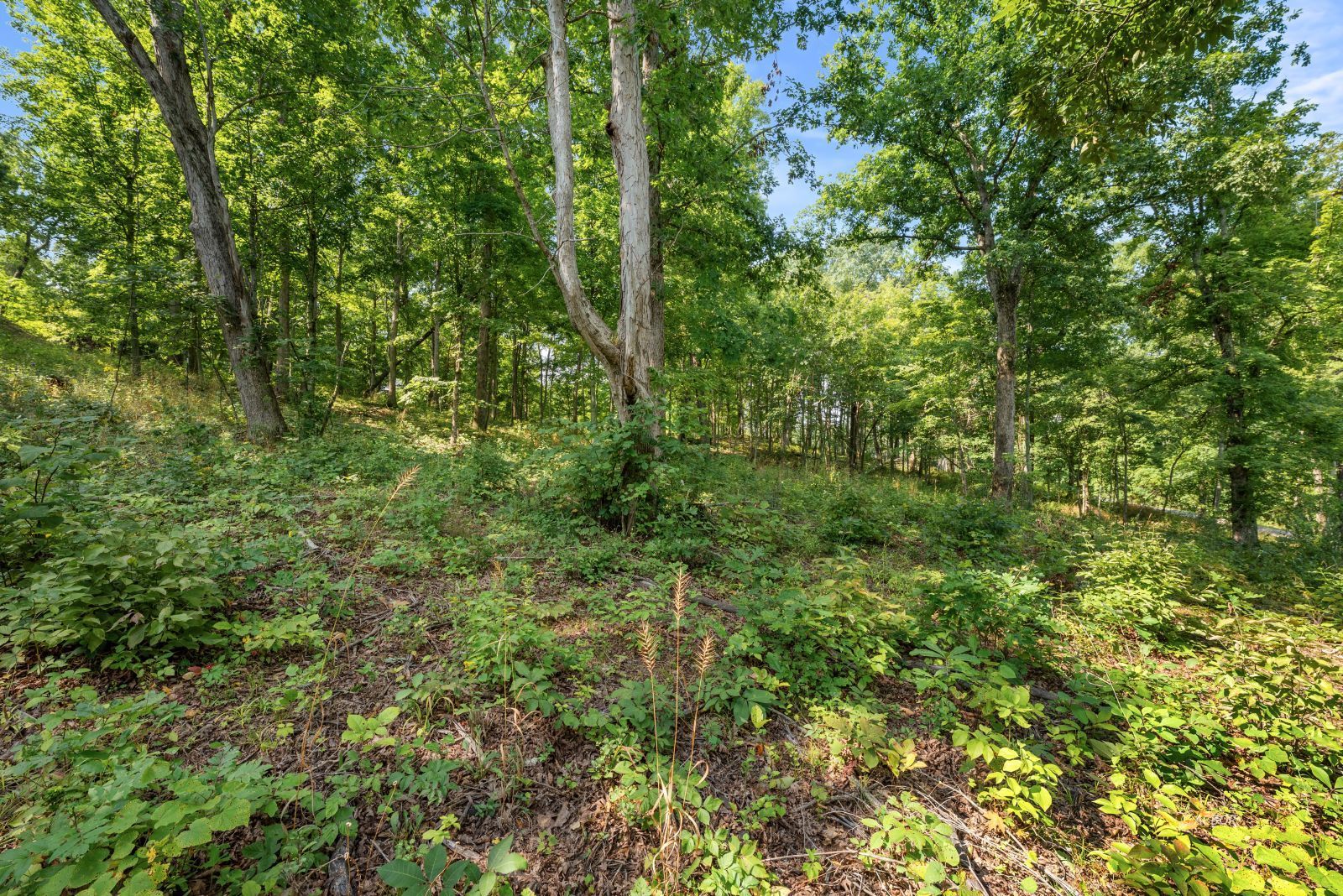 Oak Ridge Drive Property Photo 1