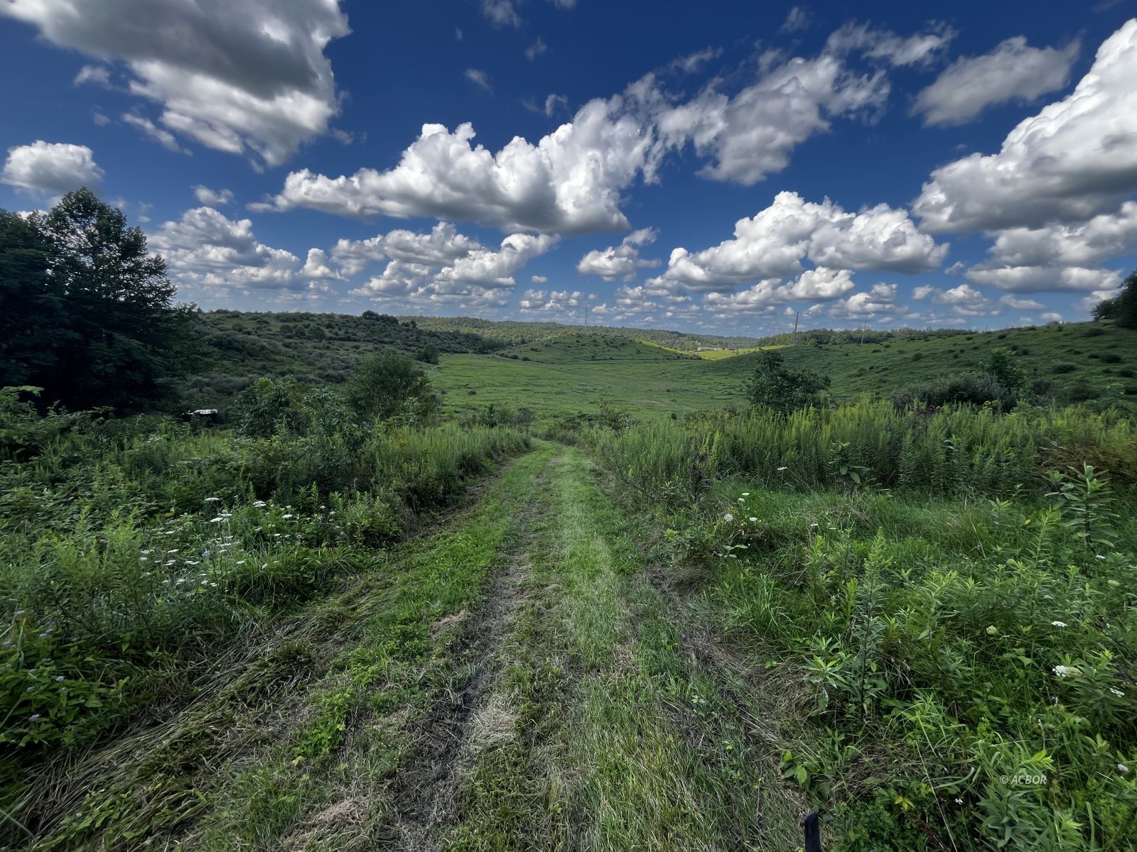 69310 Prattsville Rd Property Photo 1
