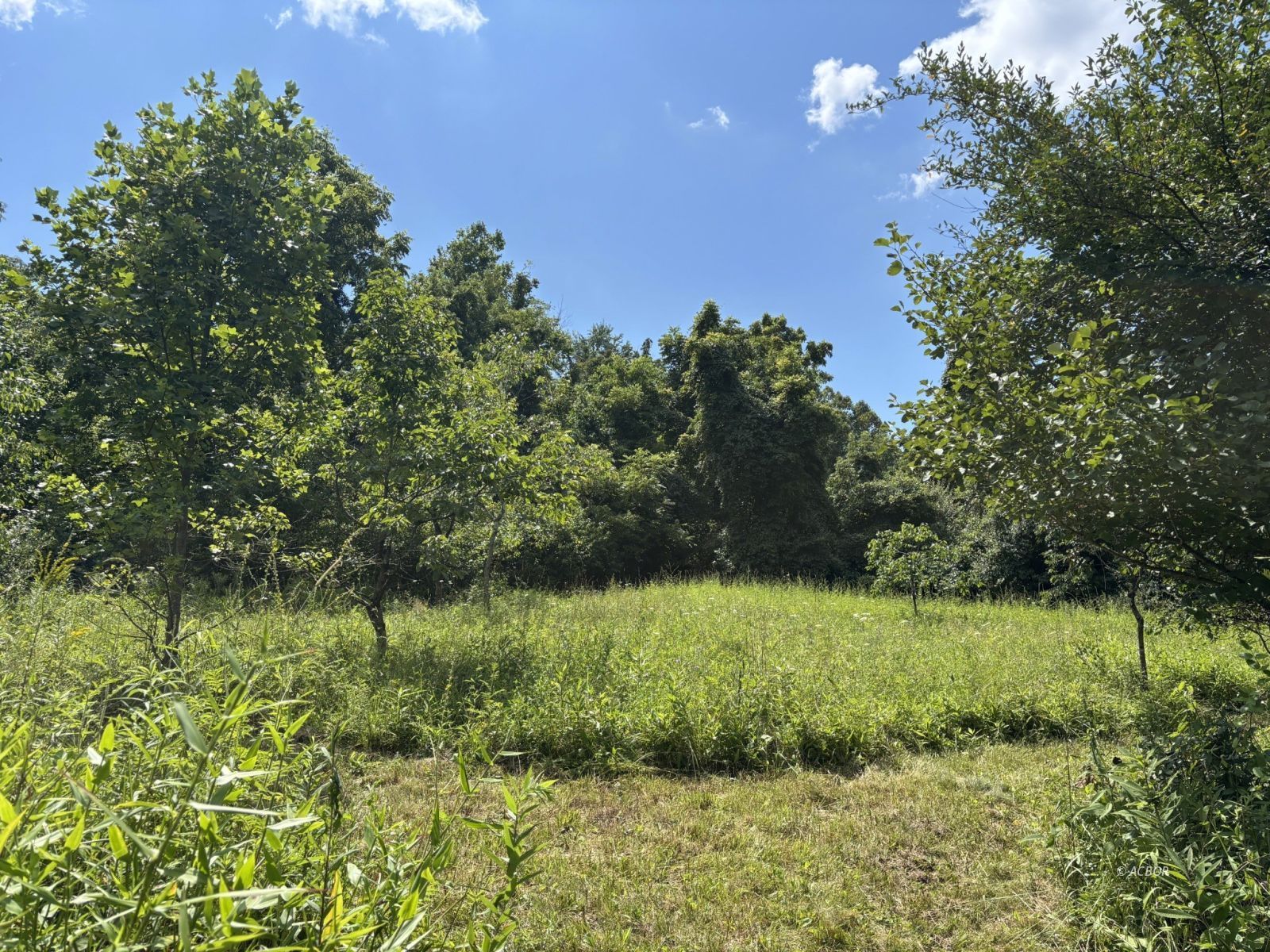 Mill Creek Rd Property Photo 2