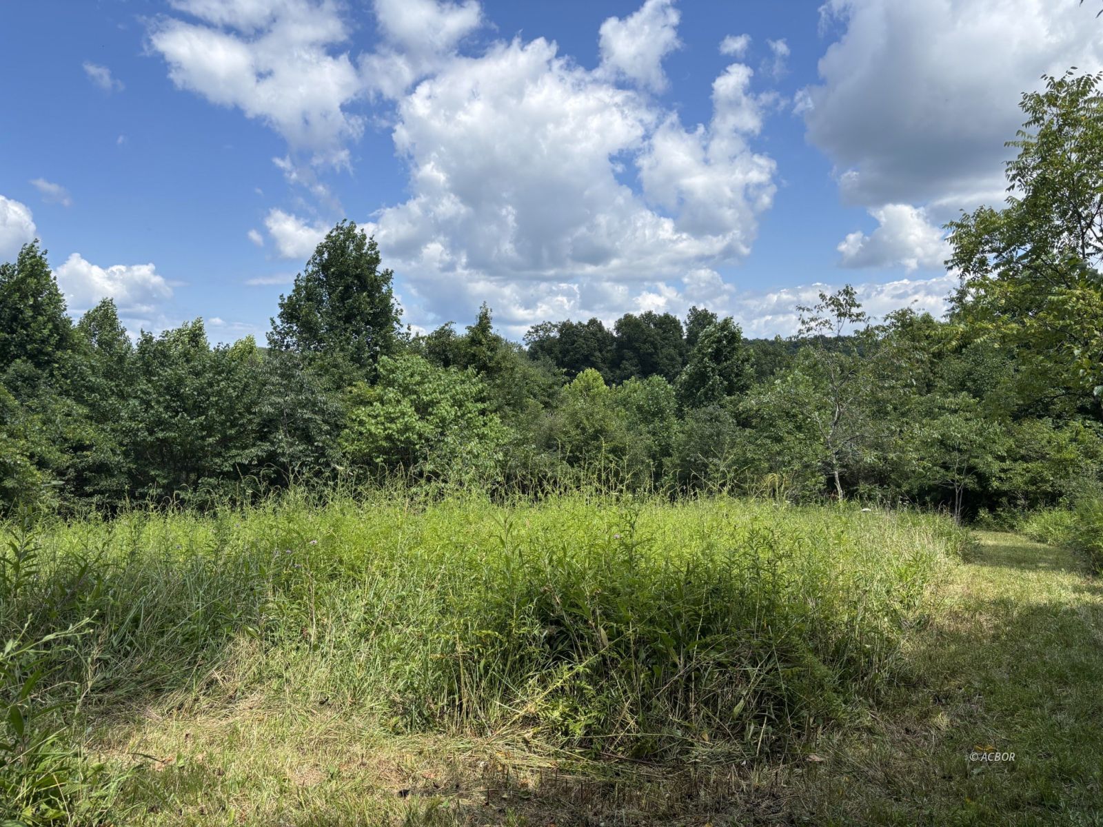 Mill Creek Rd Property Photo 6