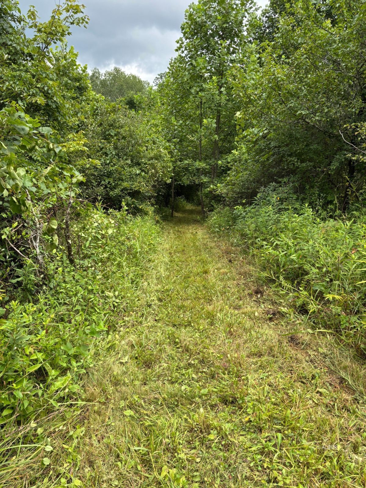 Mill Creek Rd Property Photo 9