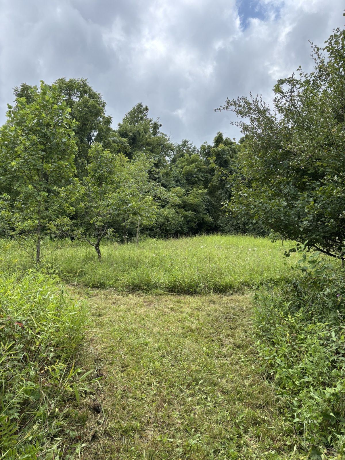 Mill Creek Rd Property Photo 10