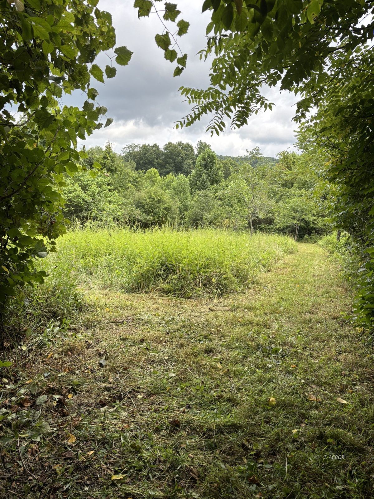 Mill Creek Rd Property Photo 11