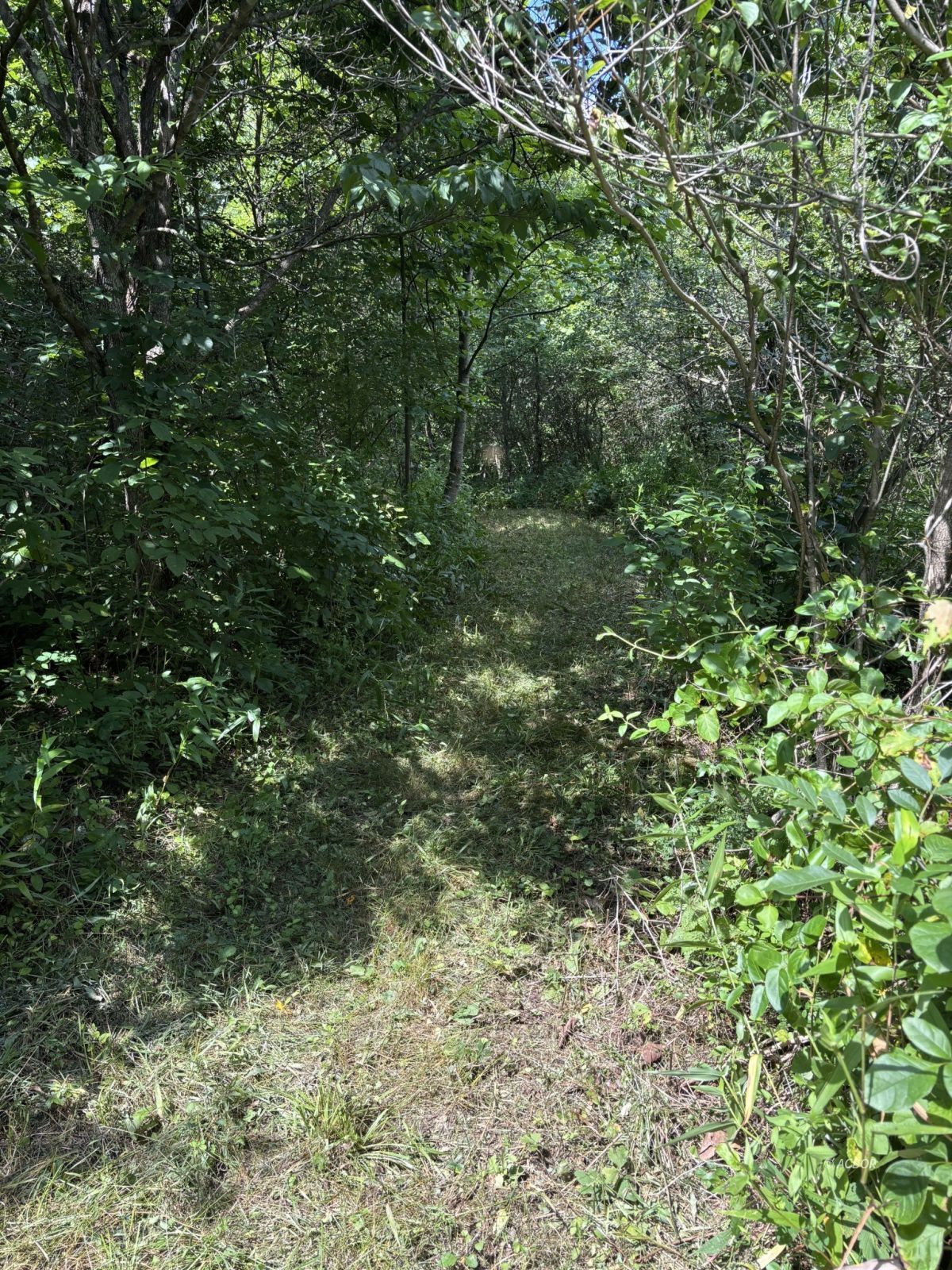 Mill Creek Rd Property Photo 13
